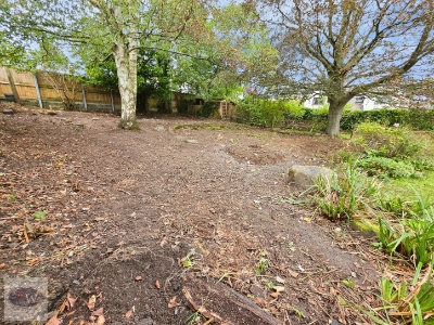 Picture 26